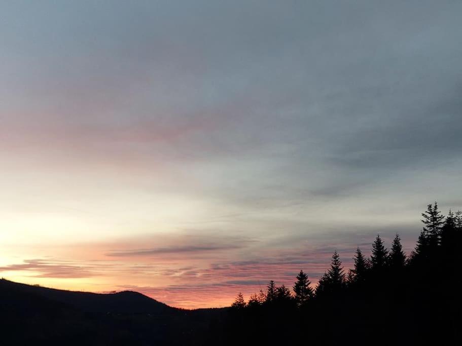 Panorama Sucha Gora ,Lesny Domek Skawica  Dış mekan fotoğraf