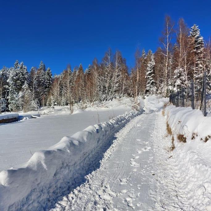 Panorama Sucha Gora ,Lesny Domek Skawica  Dış mekan fotoğraf